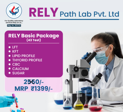 Basic Package